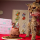Image for article titled The World's Oldest Cat Is 24 and Named Poppy